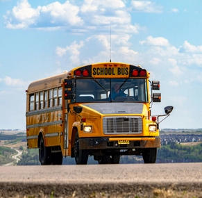 DSBR Automotive Bearings Used in Bus Market